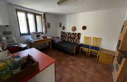 Casa traditionala, teren generos, 1700mp, Rediu