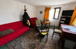 Casa traditionala, teren generos, 1700mp, Rediu