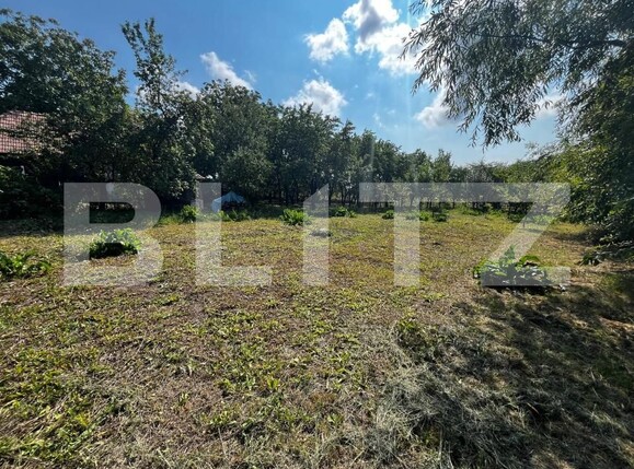 Casa de vânzare 2 camere Rediu - 203974CV | BLITZ Cluj-Napoca | Poza2