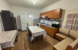 Casa de vânzare în Viișoara – schimb cu apartament în Cluj-Napoca