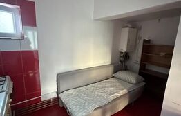 Casa de vânzare în Viișoara – schimb cu apartament în Cluj-Napoca