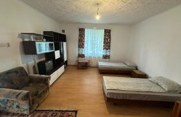Casa de vânzare în Viișoara – schimb cu apartament în Cluj-Napoca