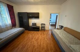 Casa de vânzare în Viișoara – schimb cu apartament în Cluj-Napoca