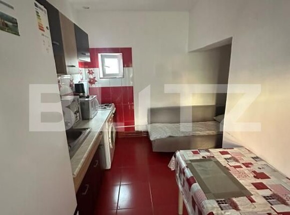 Casa de vânzare 3 camere Viisoara - 203982CV | BLITZ Cluj-Napoca | Poza10