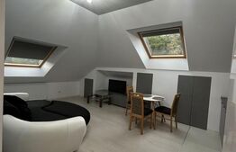Apartament de inchiriat, 2 camere, cu loc de parcare, Manastur