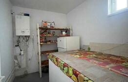 Casa de inchiriat pentru muncitori - 9 locuri, Viisoara, Campia Turzii
