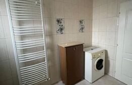 Casa de inchiriat pentru muncitori - 9 locuri, Viisoara, Campia Turzii