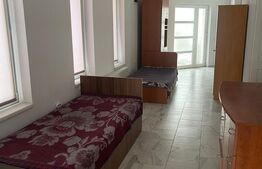 Casa de inchiriat pentru muncitori - 9 locuri, Viisoara, Campia Turzii
