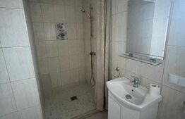 Casa de inchiriat pentru muncitori - 9 locuri, Viisoara, Campia Turzii