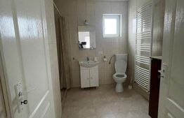 Casa de inchiriat pentru muncitori - 9 locuri, Viisoara, Campia Turzii