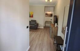 Apartament 2 camere,  parcare, grădină, zona Aurel Vlaicu, Pet friendly
