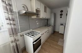 Apartament 2 camere parter 42mp, garaj de 18mp, zona Terra