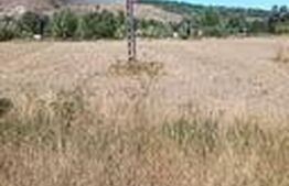 De vanzare teren extravilan, Cornesti, jud.Cluj