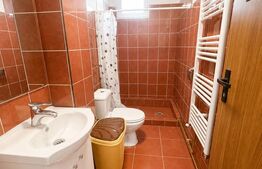 Apartament cu 1 camera de inchiriat, zona centrala, Campia Turzii