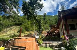 Casa individuala/vacanta, zona superba, Marisel