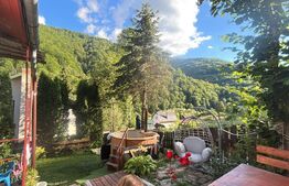 Casa individuala/vacanta, zona superba, Marisel