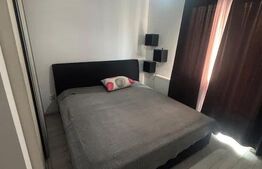 Apartament 2 camere,  PET FRIENDLY, zona Sesul de sus