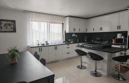 Exclusivitate!!! Casa individuala 370 mp, teren 1384 mp, in Mihai Viteazu