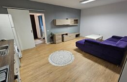 Apartament de vanzare, cu 2 camere, 60 mp, gradina, 2 parcari, zona Porii