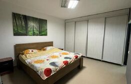 Apartament de vanzare, cu 2 camere, 60 mp, gradina, 2 parcari, zona Porii