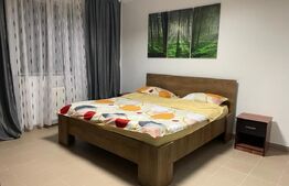 Apartament de vanzare, cu 2 camere, 60 mp, gradina, 2 parcari, zona Porii