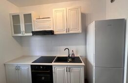 Apartament 2 camere , 60mp, Record Park- Zona The Office