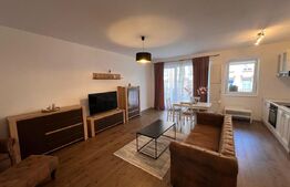 Apartament 2 camere , 60mp, Record Park- Zona The Office