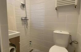 Apartament cu o camera si balcon, renovat recent, Gruia.