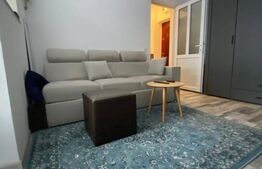 Apartament cu o camera si balcon, renovat recent, Gruia.