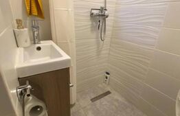 Apartament cu o camera si balcon, renovat recent, Gruia.