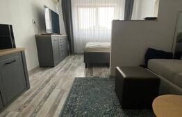 Apartament cu o camera si balcon, renovat recent, Gruia.