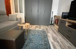 Apartament cu o camera si balcon, renovat recent, Gruia.