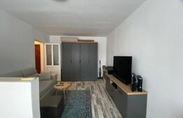 Apartament cu o camera si balcon, renovat recent, Gruia.