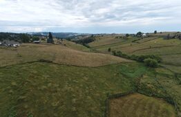 Teren de vanzare, 5781 mp, zona Maguri-Racatau