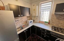 Apartament 2 camere, Ansamblul IRIS - PetFriendly, 2 balcoane