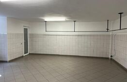 Casă de închiriat pentru muncitori – Capacitate 14–18 persoane