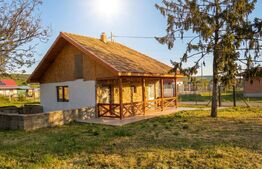 Casa 300mp, teren 1900 mp intravilan, 6 dormitoare, 2 garaje, Livada
