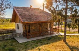Casa 300mp, teren 1900 mp intravilan, 6 dormitoare, 2 garaje, Livada