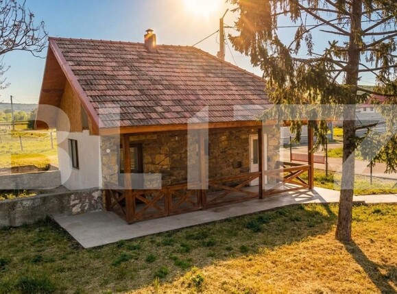 Casa de vânzare 9 camere Livada (Iclod) - 204196CV | BLITZ Cluj-Napoca | Poza8
