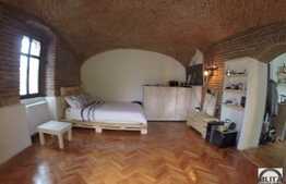 Spatiu central, 30 mp, zona Mall Platinia, acces din strada!