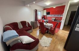 Apartament 2 camere 43mp, zona Cetatii 
