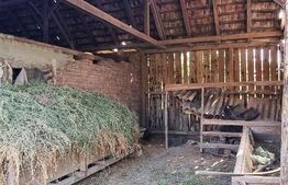 Casa cu doua corpuri, 217.30 mp, curte si gradina, zona Viisoara 