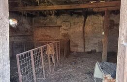 Casa cu doua corpuri, 217.30 mp, curte si gradina, zona Viisoara 