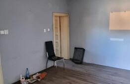 Casa cu doua corpuri, 217.30 mp, curte si gradina, zona Viisoara 