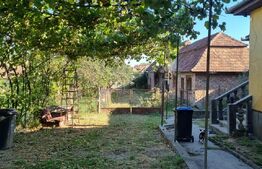 Casa cu doua corpuri, 217.30 mp, curte si gradina, zona Viisoara 