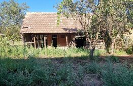Casa cu doua corpuri, 217.30 mp, curte si gradina, zona Viisoara 