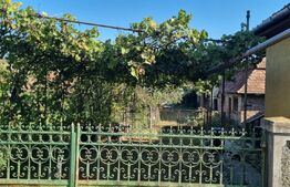 Casa cu doua corpuri, 217.30 mp, curte si gradina, zona Viisoara 