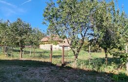 Casa cu doua corpuri, 217.30 mp, curte si gradina, zona Viisoara 