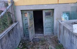Casa cu doua corpuri, 217.30 mp, curte si gradina, zona Viisoara 