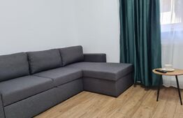 Apartament 1 cameră | 35 mp | Baciu | Etaj 1 | Ansamblu nou 2023